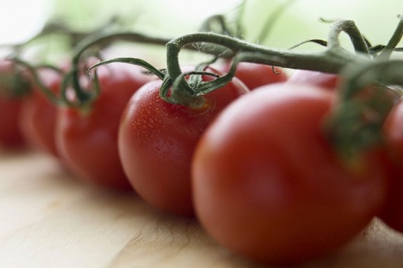 fresh tomatoes